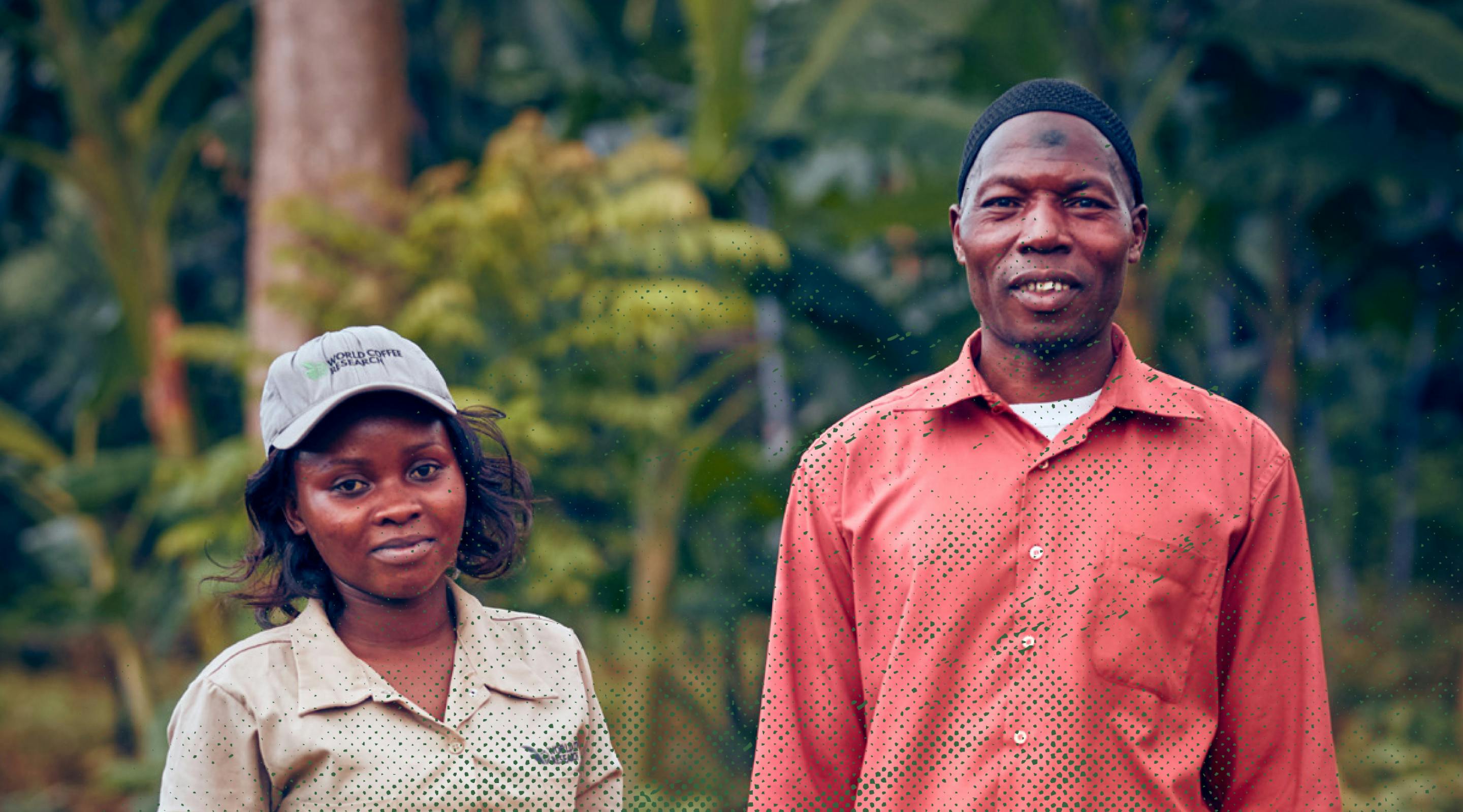 environmental-footprint-taylors-impact